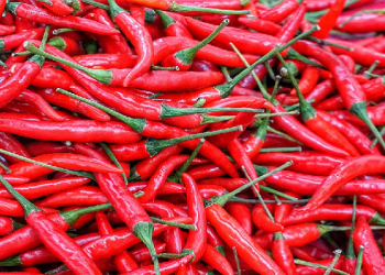 Harga Cabai Merah (Foto: Pixabay)