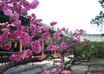 Revalina Akui Jilbab Banyak Membantunya Selama di Beijing