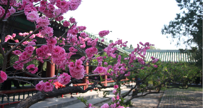 Revalina Akui Jilbab Banyak Membantunya Selama di Beijing