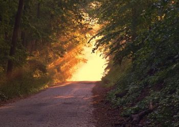 Episode Lelaki Subuh (Bag. 1)