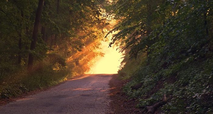 Episode Lelaki Subuh (Bag. 1)