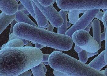 Waspada Bakteri Listeria monocytogenes