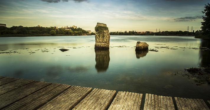 Kontemplasi Untuk Negeri