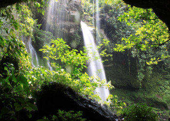 Inspirasi Adab Terhadap Guru dari Imam Nawawi