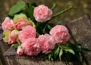 Kemandulan yang Membawa Berkah