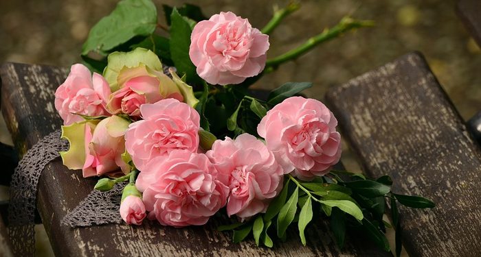 Kemandulan yang Membawa Berkah