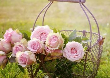 7 Hal Yang Tak Dikatakan Istri