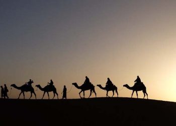 Kenapa Tak Kau Gunakan Unta-Unta Itu?