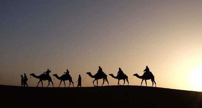 Kenapa Tak Kau Gunakan Unta-Unta Itu?