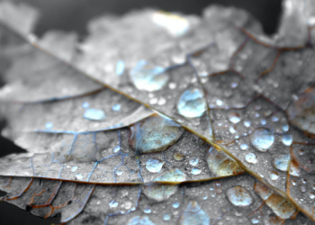 Kecantikan Yang Dipancarkan Dari Kualitas Ruh Yang  Baik