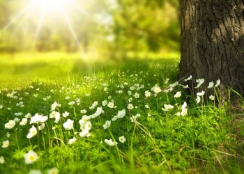 Rahasia Umar Bin Khattab Menghadapi Kecerewetan Istrinya