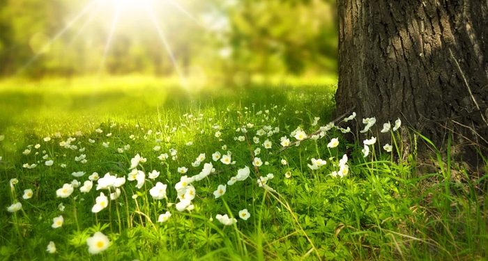 Rahasia Umar Bin Khattab Menghadapi Kecerewetan Istrinya