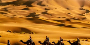 Mengikuti Generasi Awal