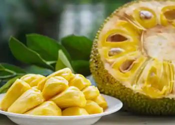 10 Khasiat Buah Nangka