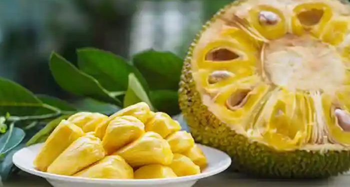 10 Khasiat Buah Nangka