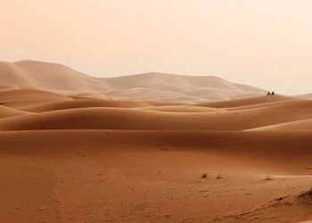 Istiqomah Meneladani Sunnah