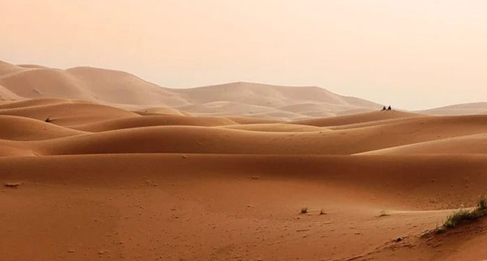 Istiqomah Meneladani Sunnah