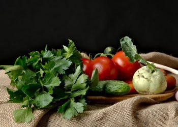 Manfaat Seledri Bagi Kesehatan Tubuh