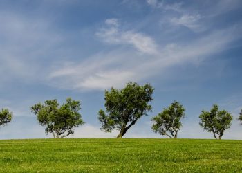 Cara Masuk Syurga Sekeluarga, Nasihat Ustaz Bachtiar Nasir