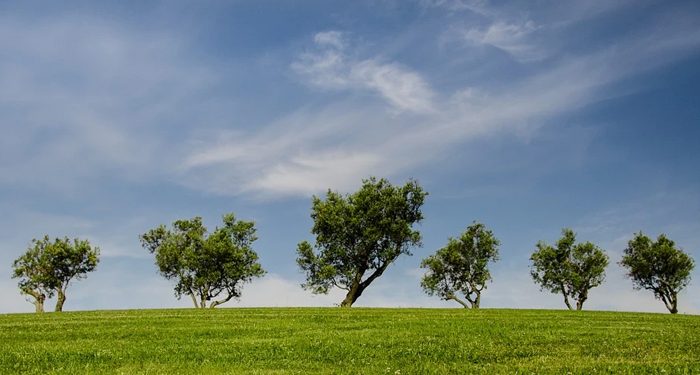 Cara Masuk Syurga Sekeluarga, Nasihat Ustaz Bachtiar Nasir