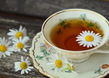 Resep Obat Herbal untuk Penyakit Polip Rahim