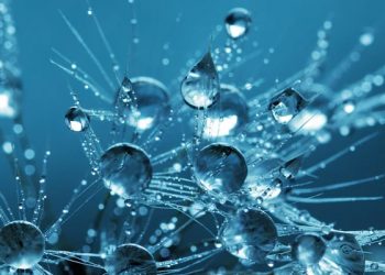 Dosa-Dosa Kecil Yang Berubah Menjadi Dosa Besar