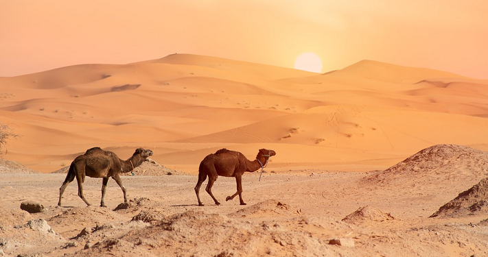 Ujian Keimanan Urwah bin Zubair Saat Harus Kehilangan Kaki dan Anaknya (Bag. 2)