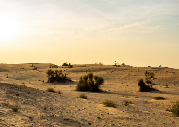 Ammar bin Yasir (5):'Amar Berperang Melawan Pemberontak Khalifah Ali