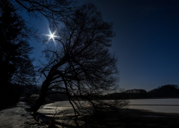 Perjalanan Tsumamah bin Utsal Merengkuh Nikmatnya Islam (2)