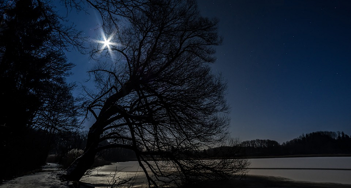 Perjalanan Tsumamah bin Utsal Merengkuh Nikmatnya Islam (2)