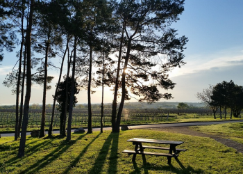 Shalat Dhuha 4 Rakaat