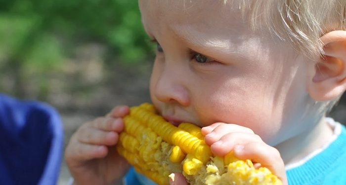 Mengatasi Anak Yang Tak Suka Sayuran