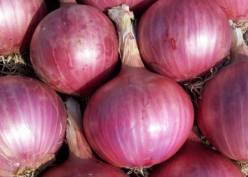 Sebagian Muslim Yang Masuk Neraka Tanpa Hisab