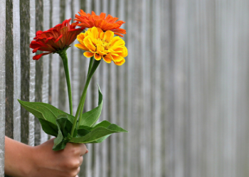 Jika Datang Pria Melamarmu