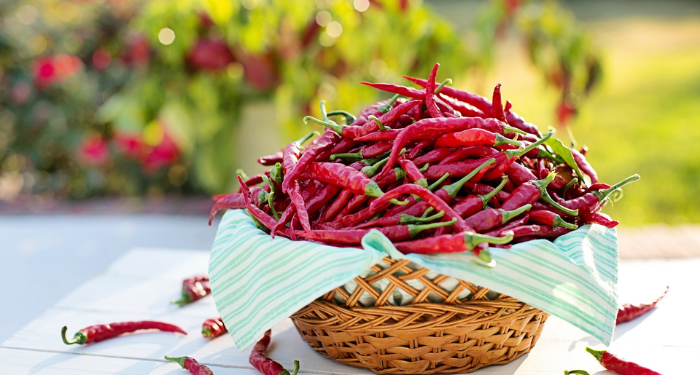 Bisakah Belajar Dengan Ini ?