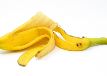 Bisakah Belajar Dengan Ini ?