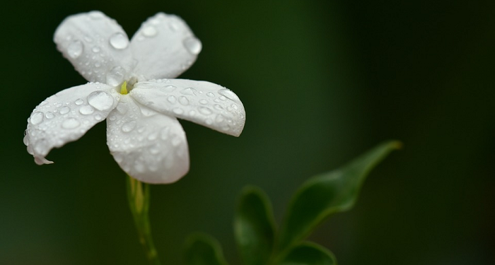 Kiat-Kiat Mempercantik Ruh