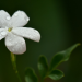 Kiat-Kiat Mempercantik Ruh