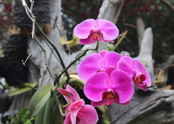 Ketika Punya ABG Kristis