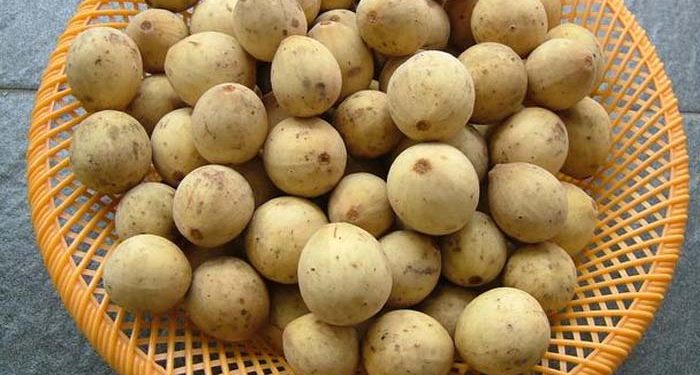 12 Manfaat Buah Duku yang Kaya Nutrisi