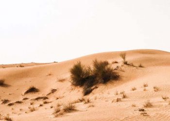 Dermawannya Umar bin Khattab