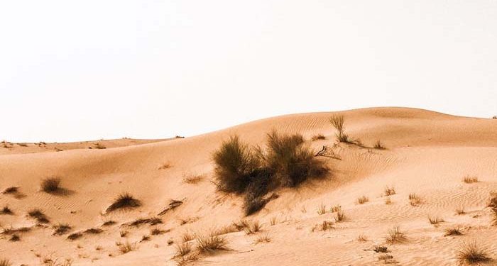 Dermawannya Umar bin Khattab