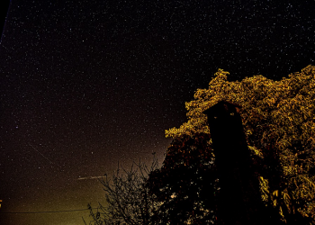 Memperbanyak Shalat Malam, Menghidupkan Malam Ramadhan