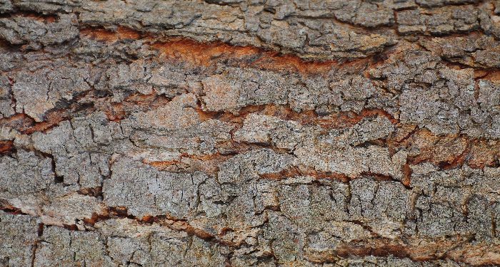 Cara alami mengatasi tumit kering dan pecah-pecah