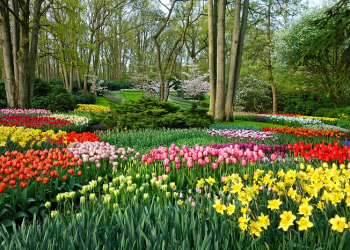 Nama Pintu-Pintu Surga