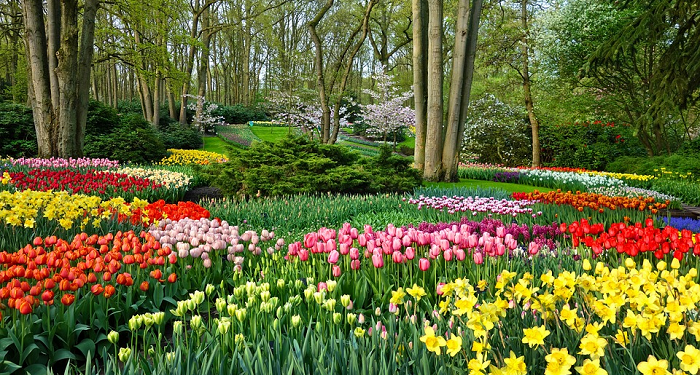 Nama Pintu-Pintu Surga