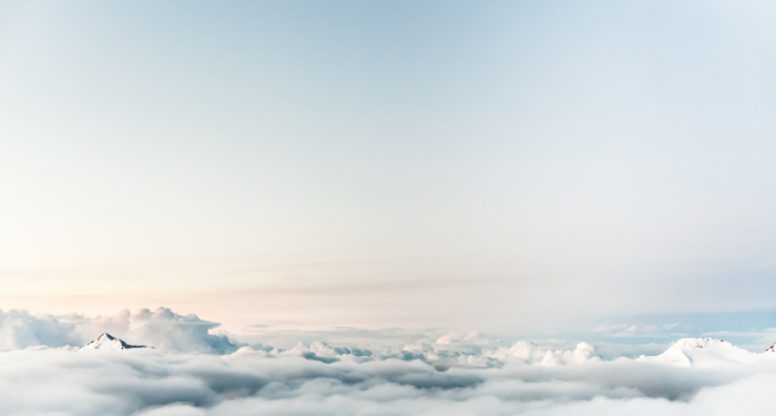 Ini Alasan Kenapa Buah Naga Bagus Untuk Kesehatan