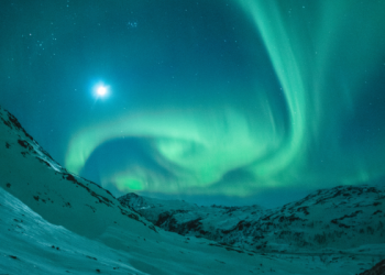 Abdullah bin Sa'ad, Murtad dan Kembali pada Islam