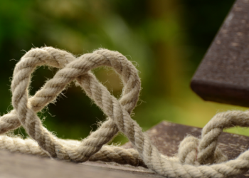 Ini Alasan Kenapa Buah Naga Bagus Untuk Kesehatan