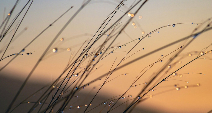 Keberkahan Pergi pada Pagi Hari untuk Mencari Nafkah